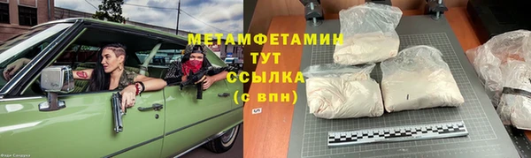 прущие грибы Надым