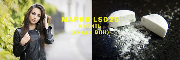 прущие грибы Надым