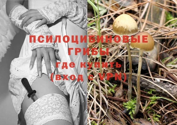 spice Михайловка