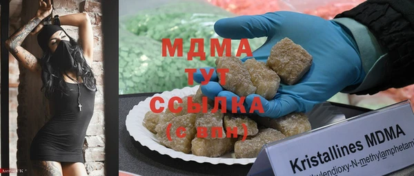 прущие грибы Надым
