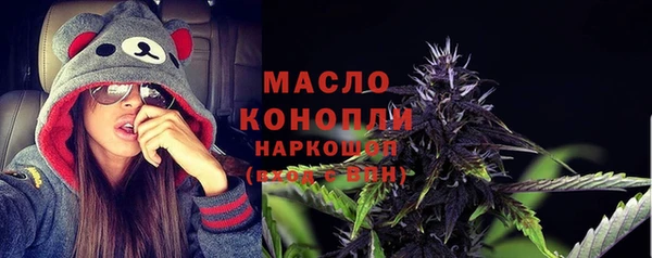 прущие грибы Надым