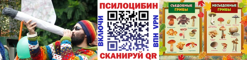 маркетплейс клад  Заинск  Псилоцибиновые грибы Psilocybine cubensis  цена  