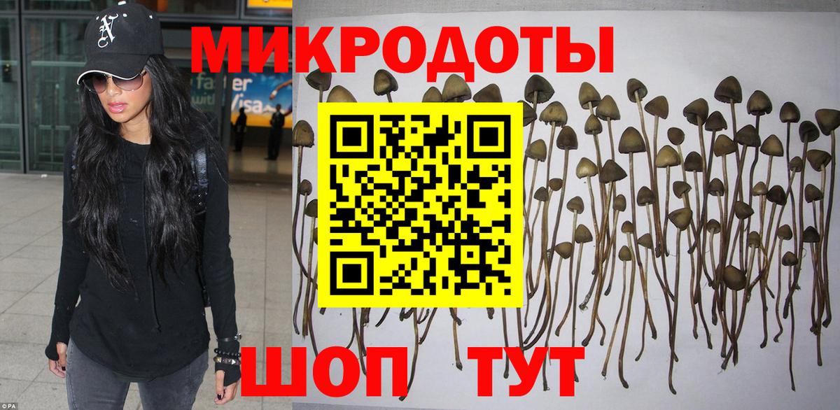 Галлюциногенные грибы GOLDEN TEACHER  Вход с VPN  цены   Заинск 