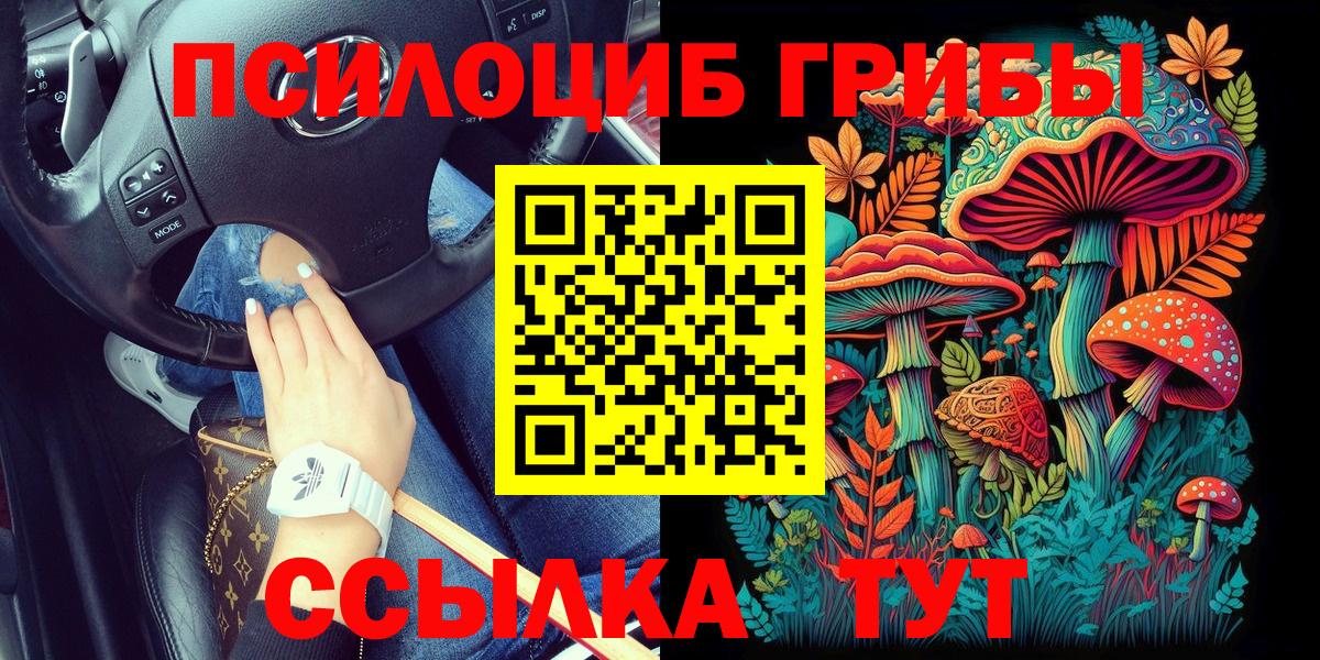 Галлюциногенные грибы Psilocybine cubensis Заинск